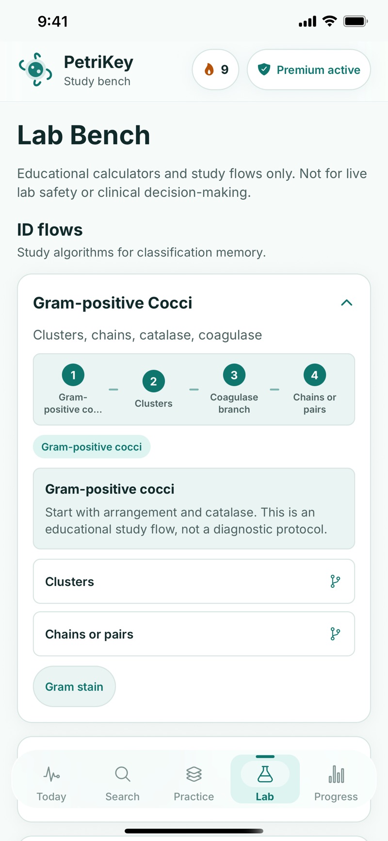 PetriKey Lab Bench screen showing the Gram-positive cocci identification flow, a numbered four-step path through clusters and the coagulase branch, and tappable choices for clusters or chains and pairs.